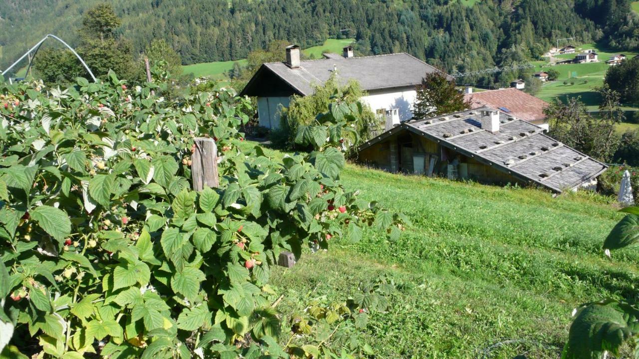 Obergereuth Hof 1288 Apartment San Martino In Passiria  Exterior photo